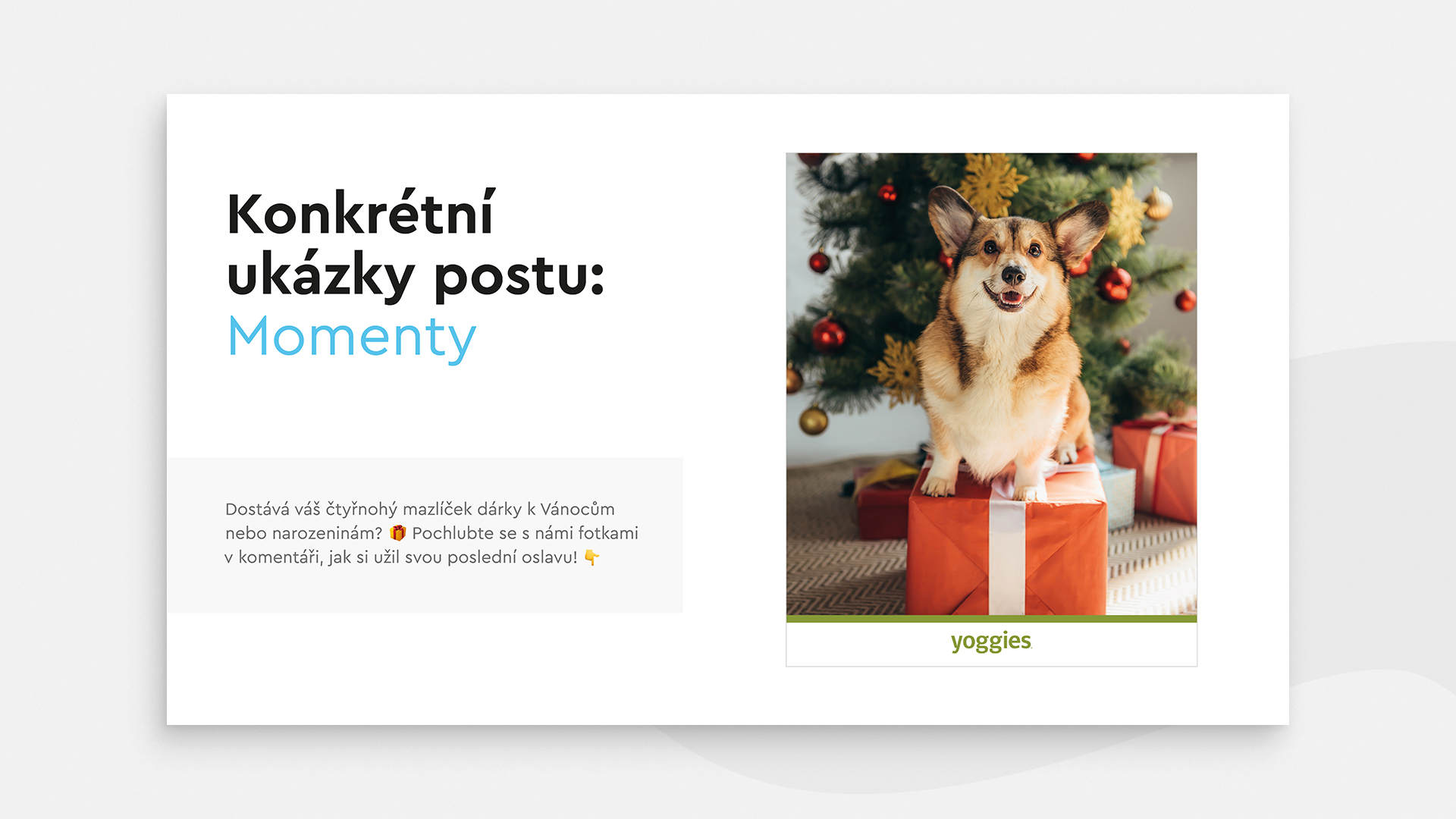 Konkrétní ukázky postů